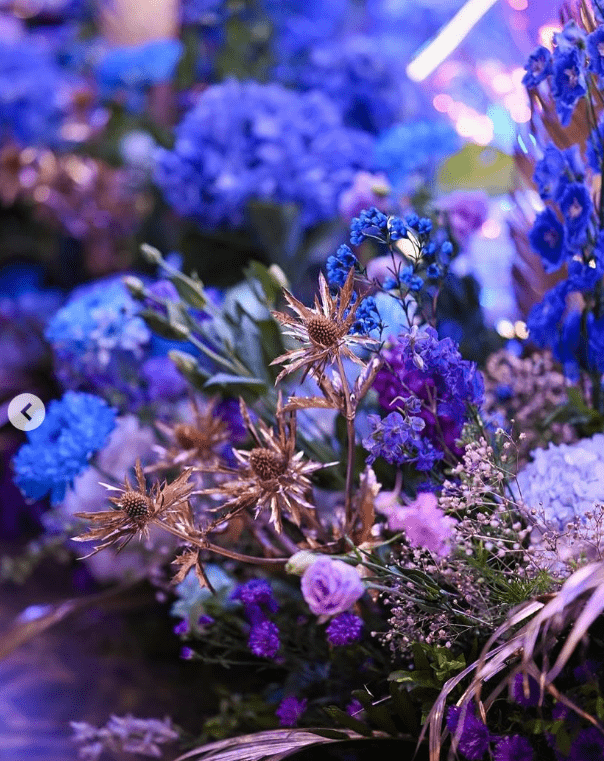 70EMG Experience - Image 11